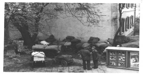 Apfelernte in der angeschlossenne Kelterei 1938