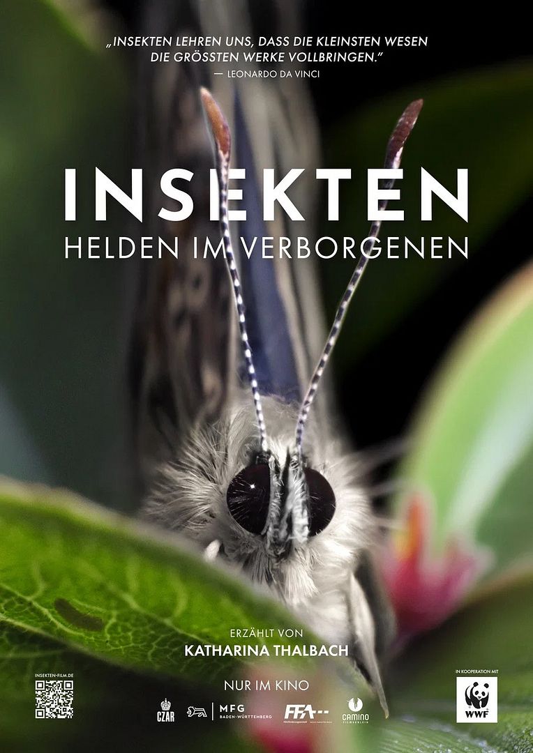 Filmposter Insekten
